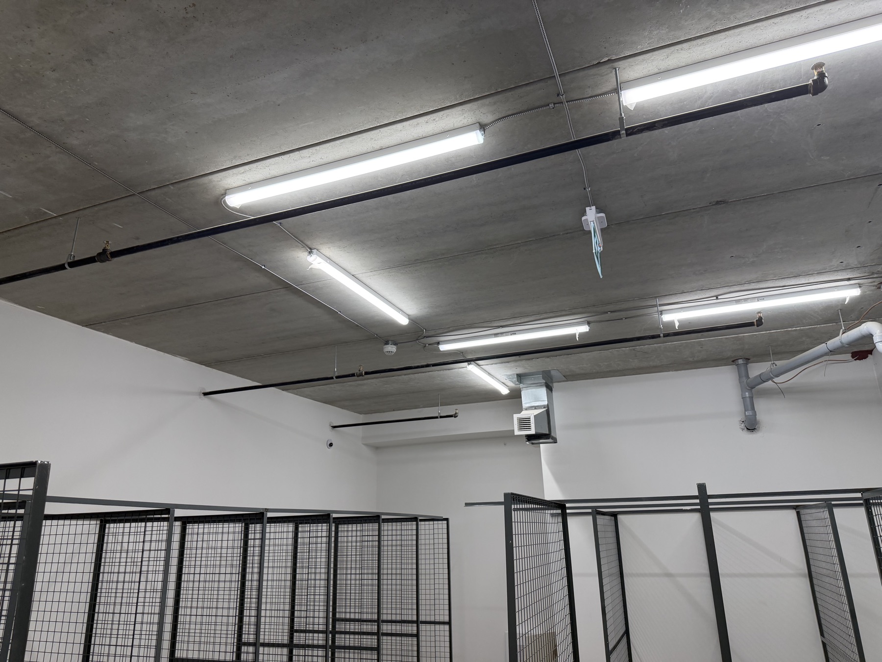 Overhead sprinkler mains in parking garage, The Albright Rentals